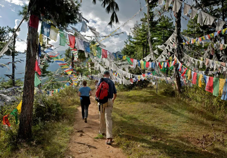 Himalayan Serenity Prayer Flags Hikers