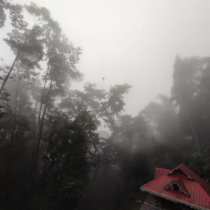 JoJo Lappa Homestay: exterior