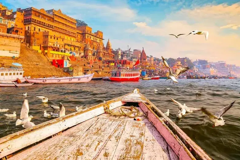Seen from a boat bow: gulls over the Ganga and the ghats of Varanasi