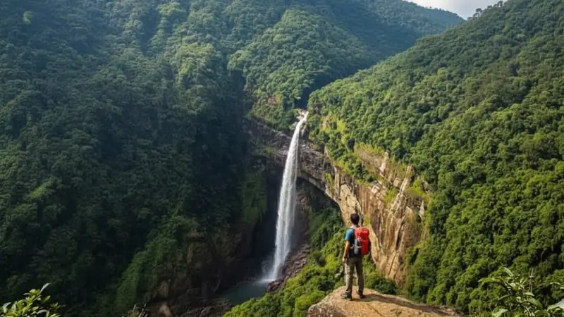 A tall waterfall plunging into a forested gorge, with a hiker at the edge