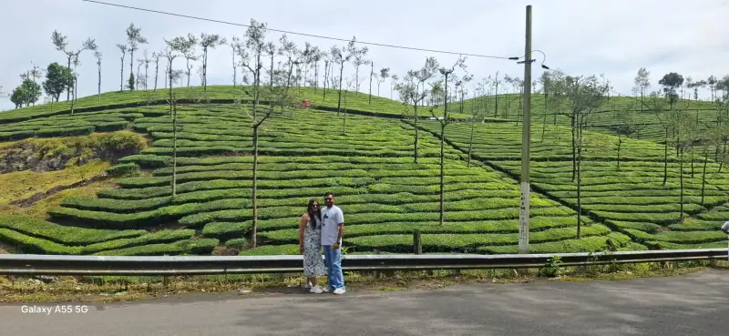 A couple standing among rolling tea gardens