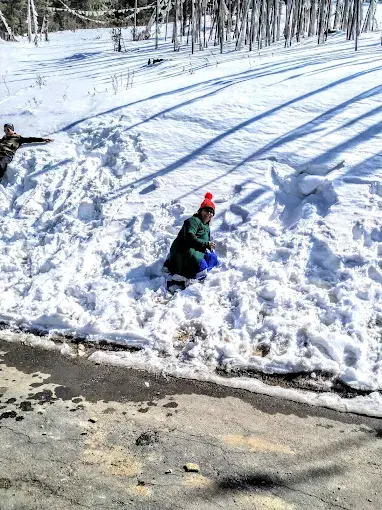 A traveller playing in deep snow among bare trees