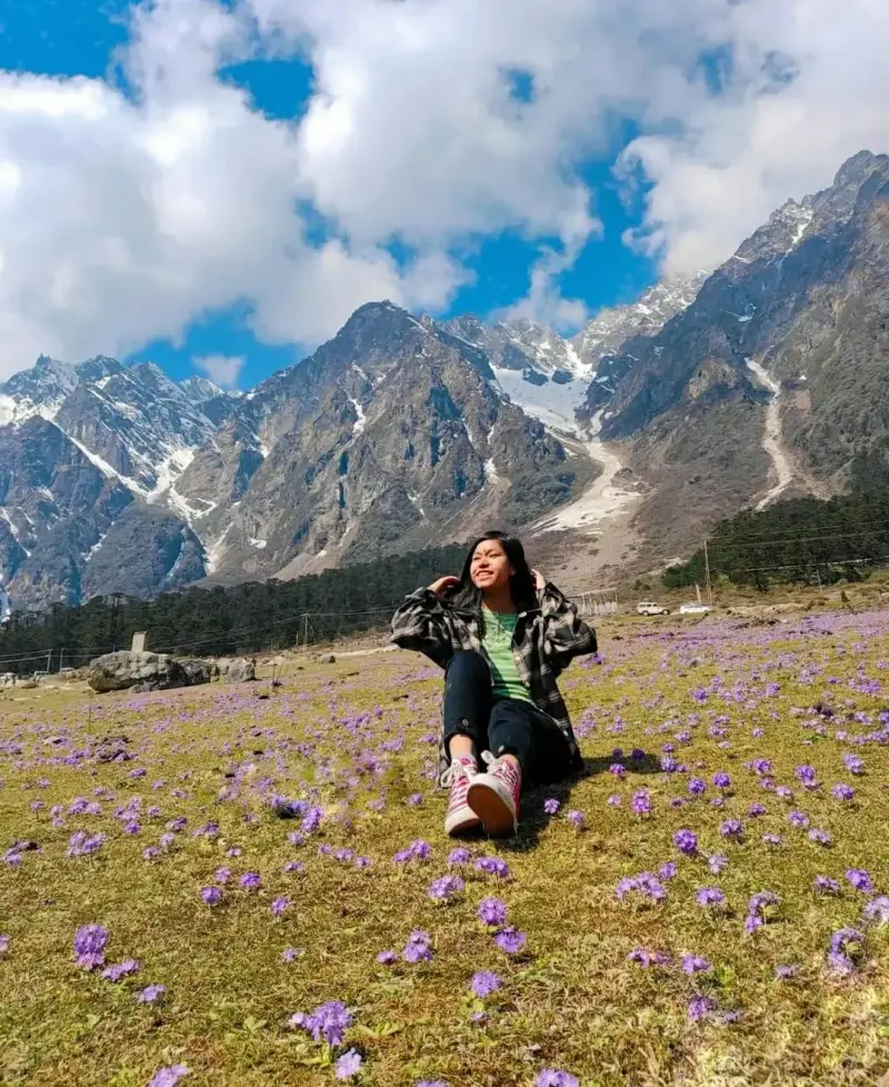 A traveller sitting in a meadow of purple primulas beneath rocky peaks